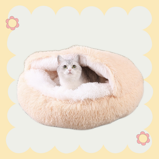 Seashell Cloud Bed